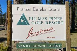 Plumas Pines