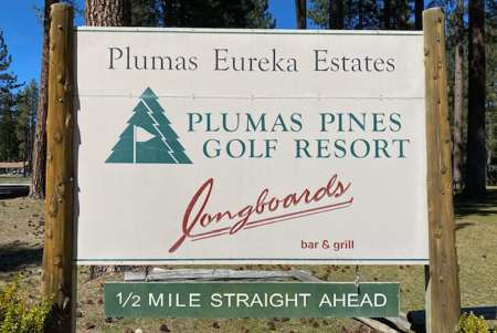 Plumas Pines